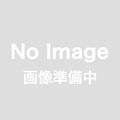 透明引出　A4縦深型　A4-2450N　475-24